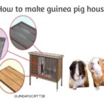 how to make guinea pig house