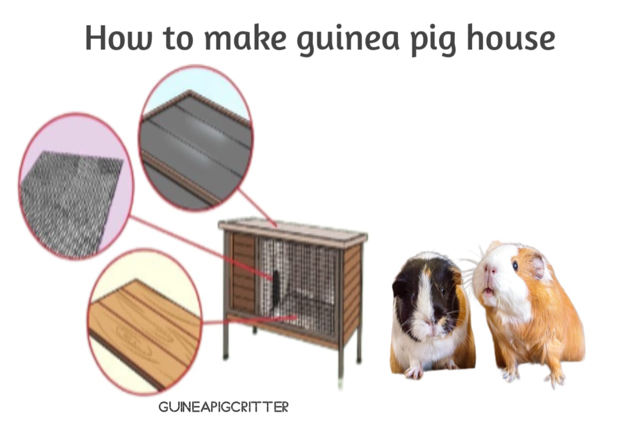 how to make guinea pig house