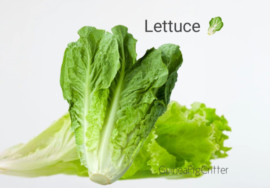 benefits of lettuce