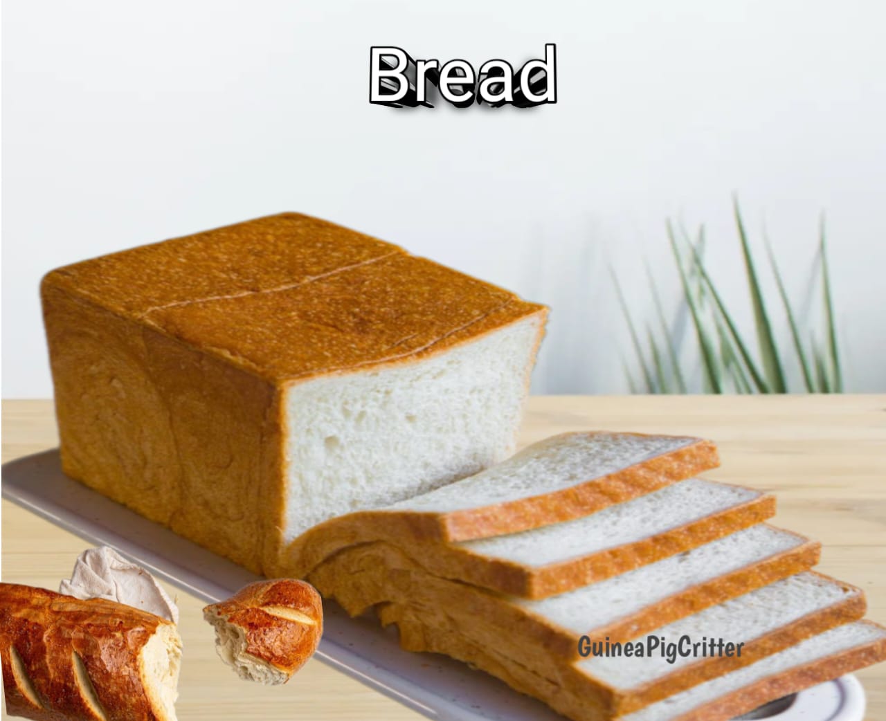 bread