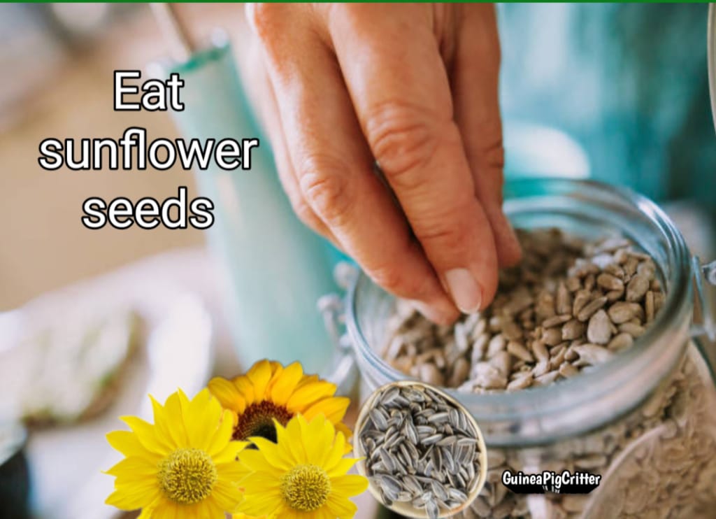 eat sunflower seeds