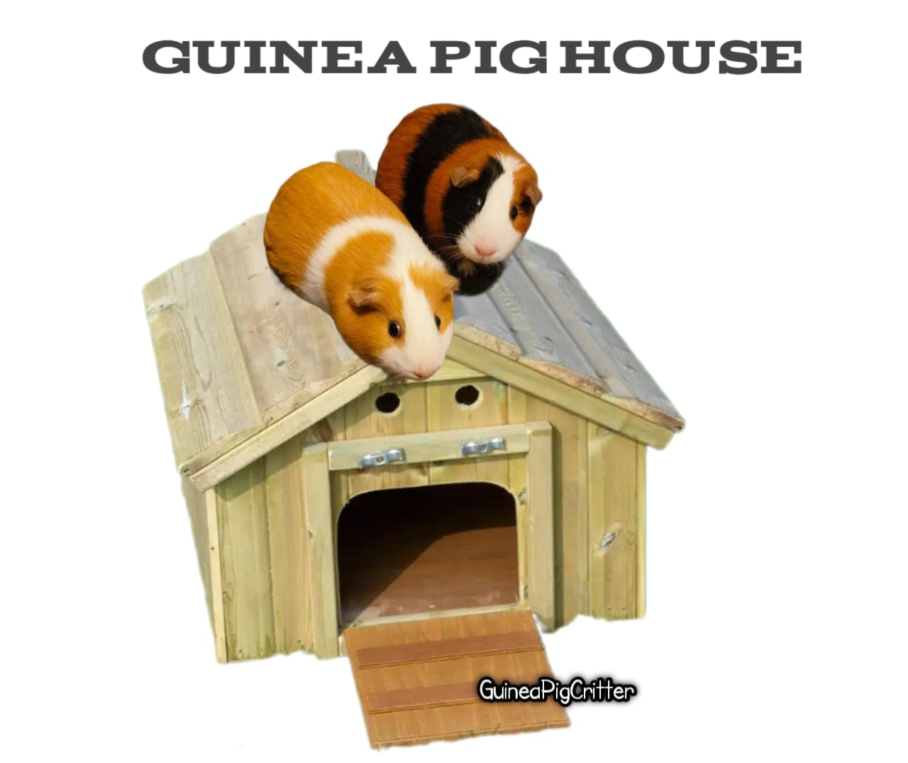 guinea pig house