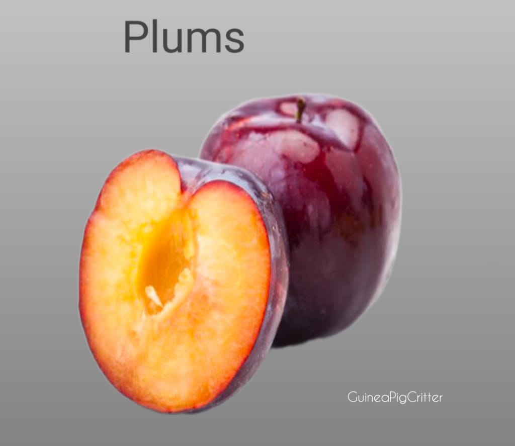 plums good for guinea pig