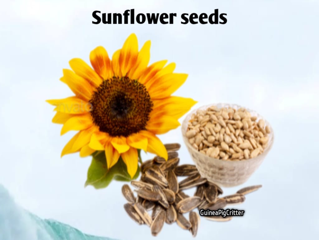 what is sunflower seeds