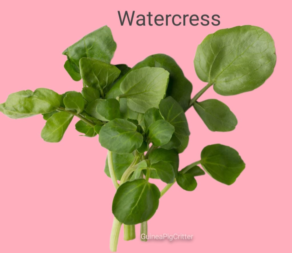 benefits of watercress