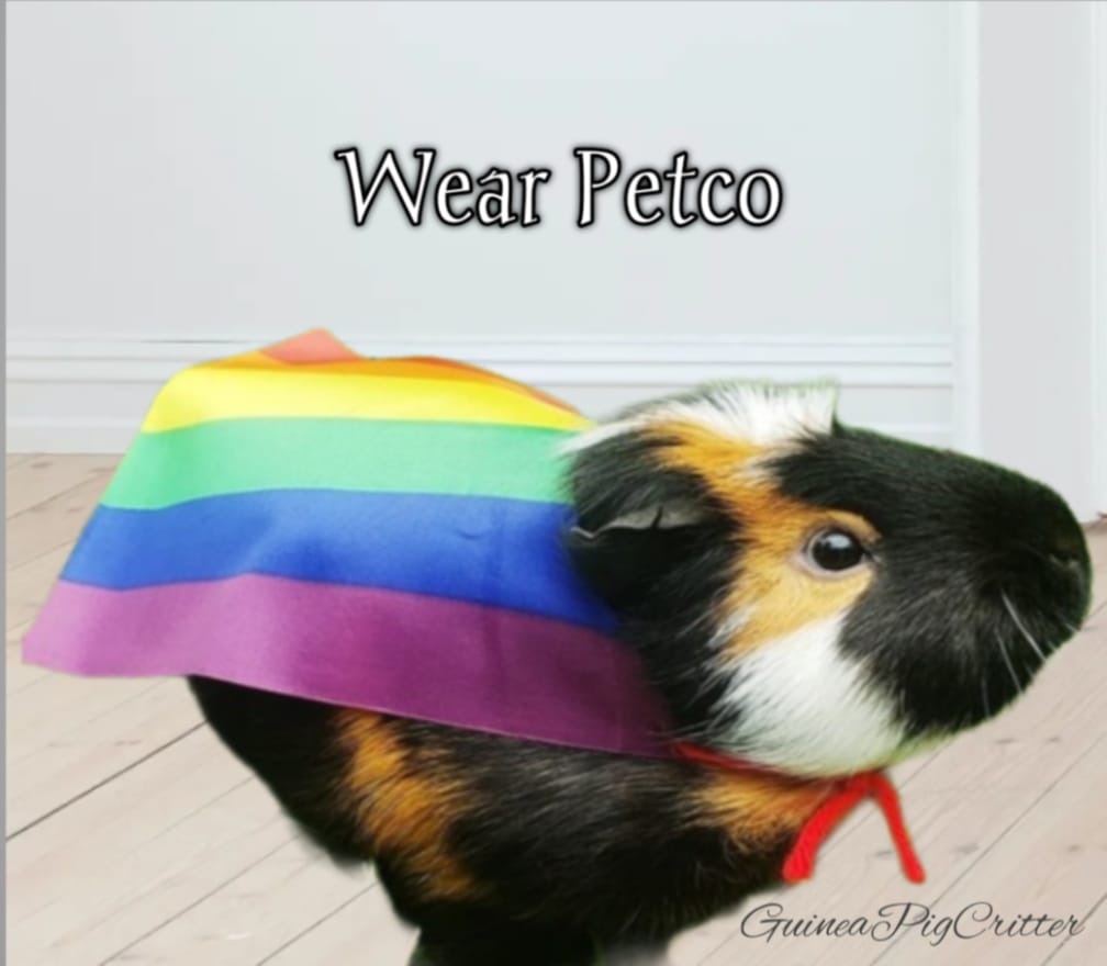 wear petco