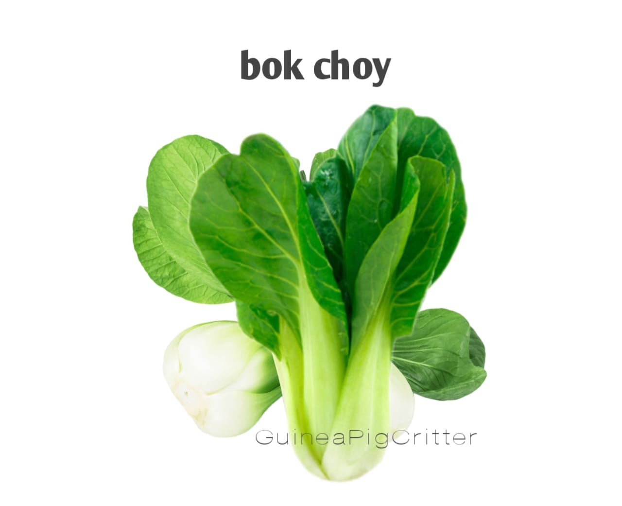 bok choy