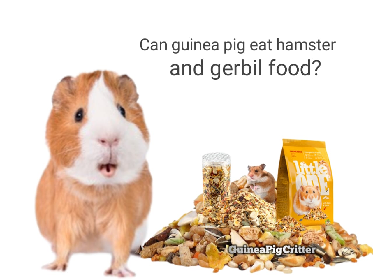 can guinea pig eat hamster and gerbil food