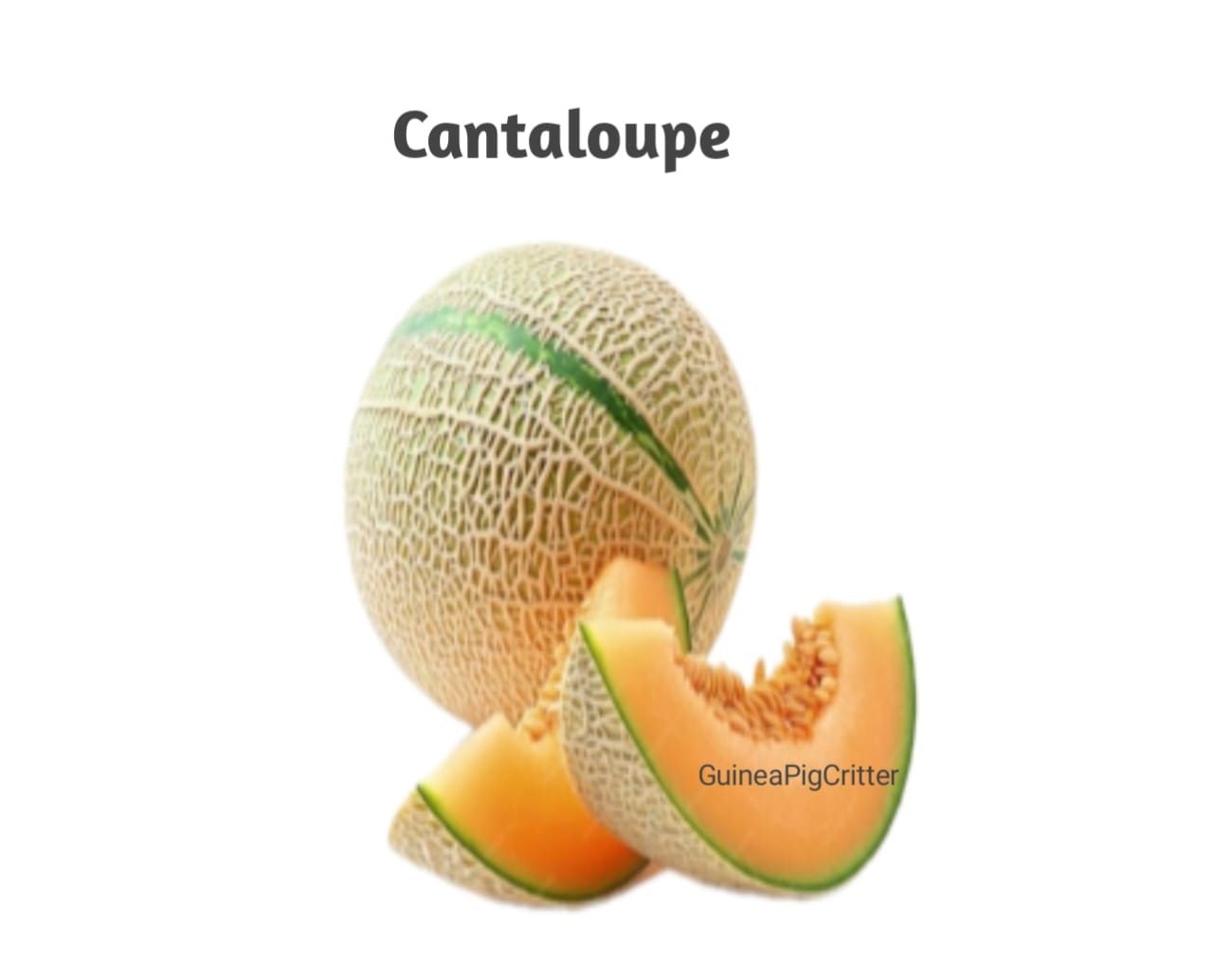 cantaloupe