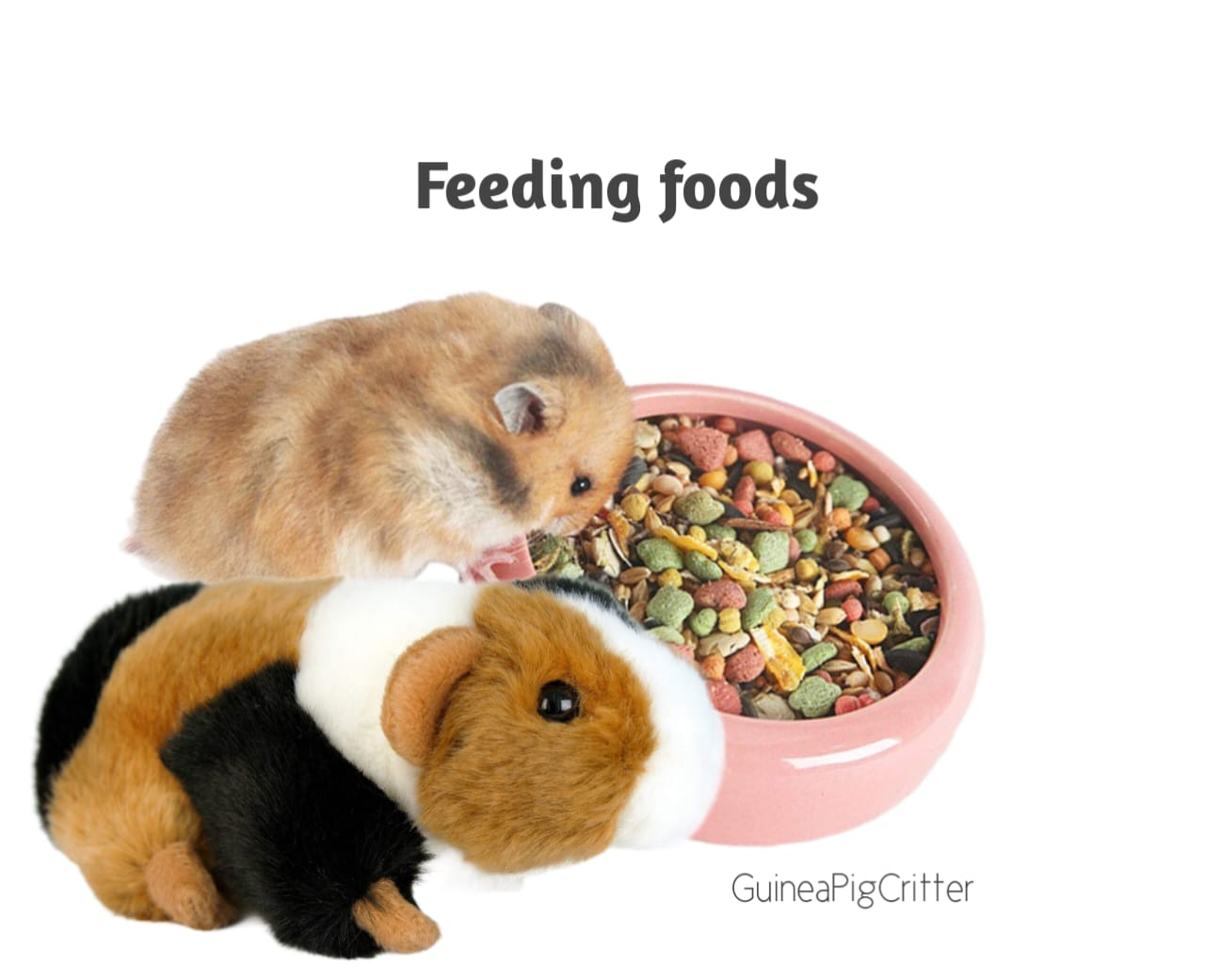 feeding food