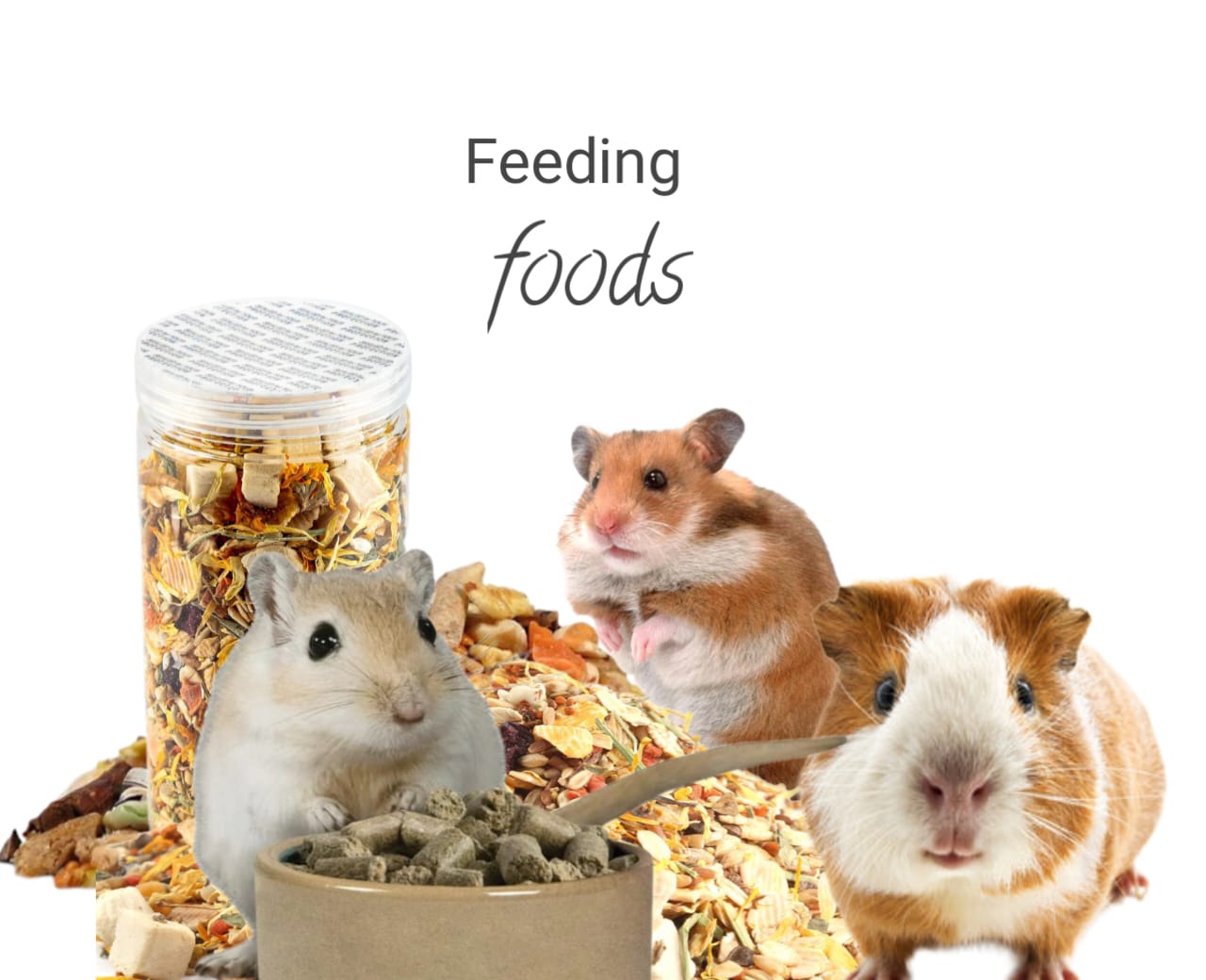 feeding foods