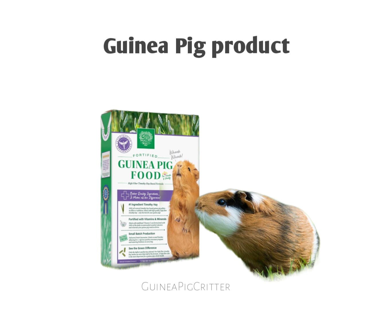 guinea pig product