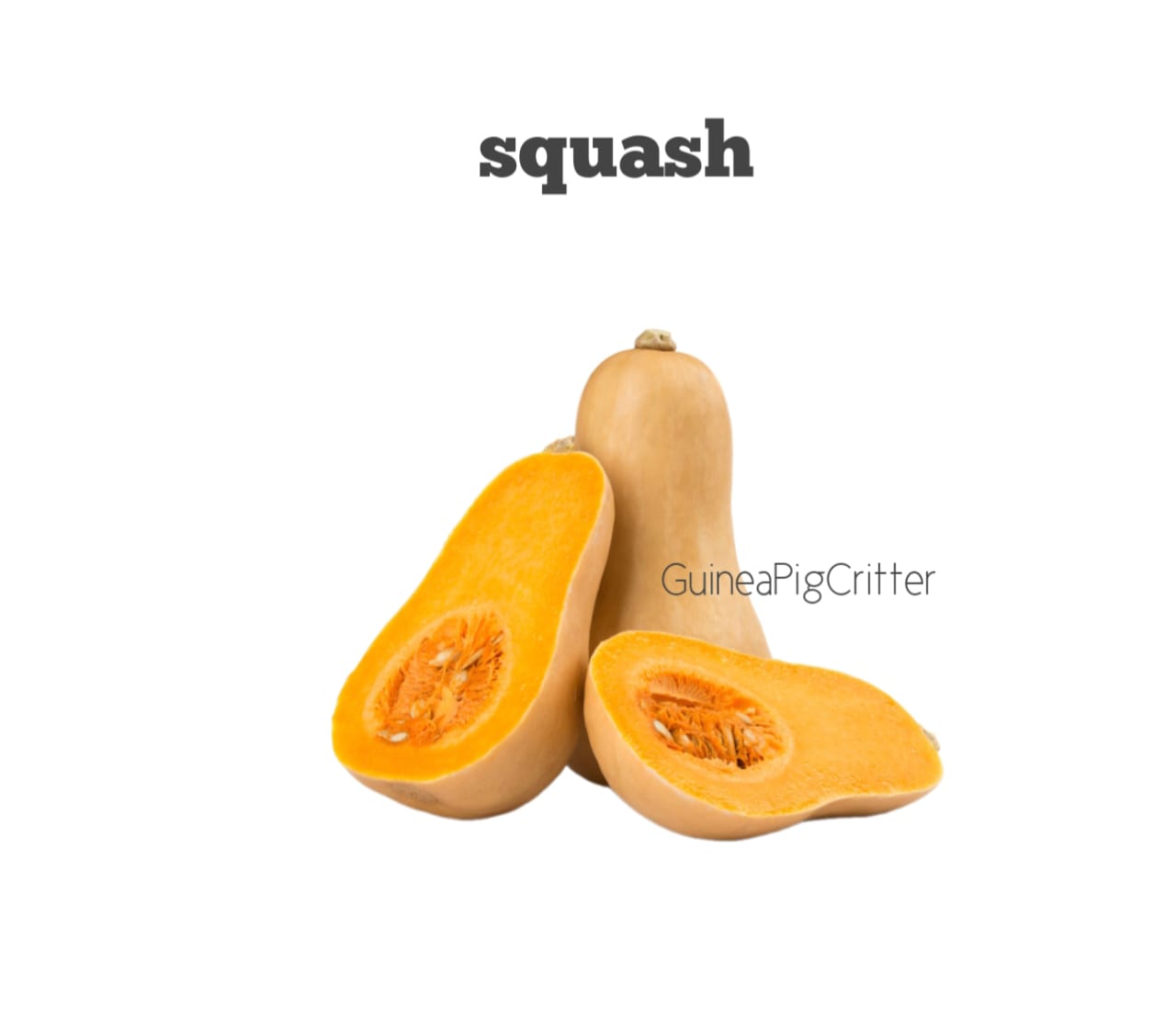 squash