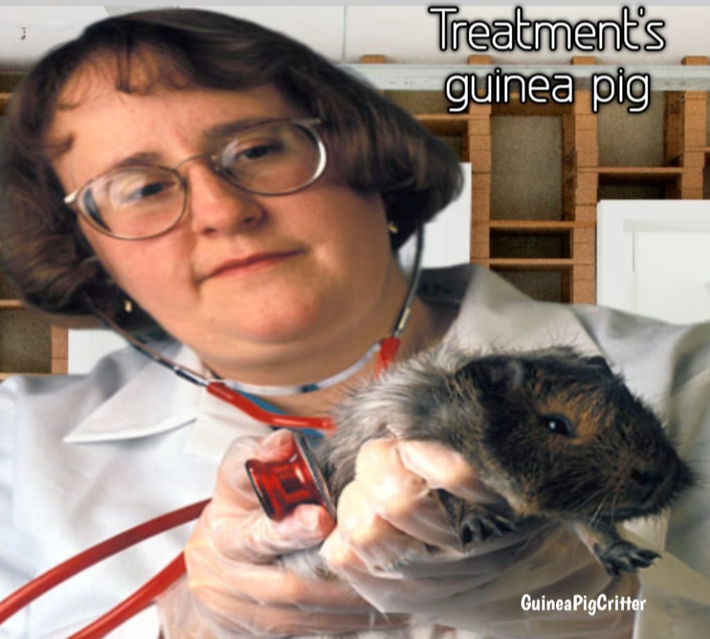 treatment guinea pig