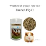 what kind of product help with guinea pigs