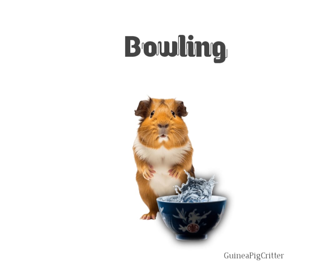 bowl water