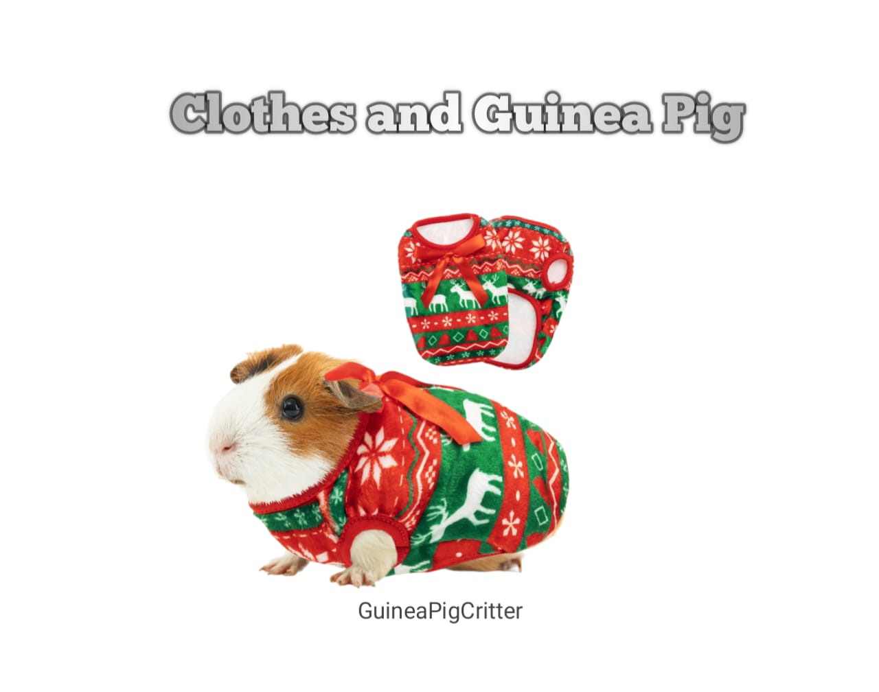 clothes and guinea pig