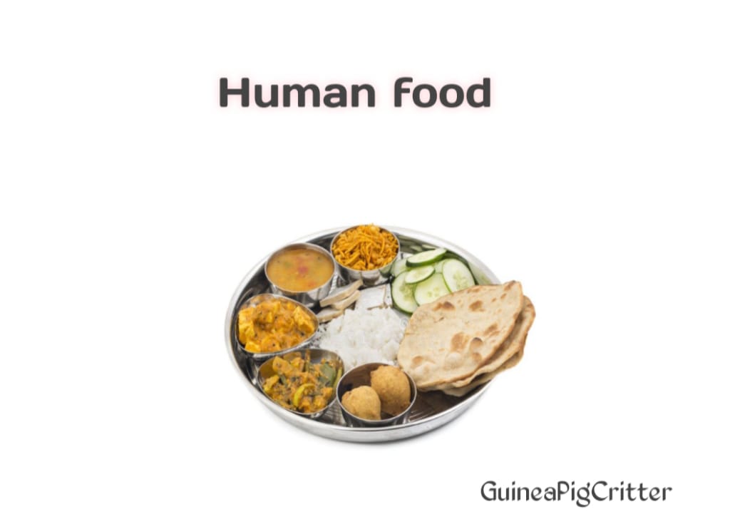 human food