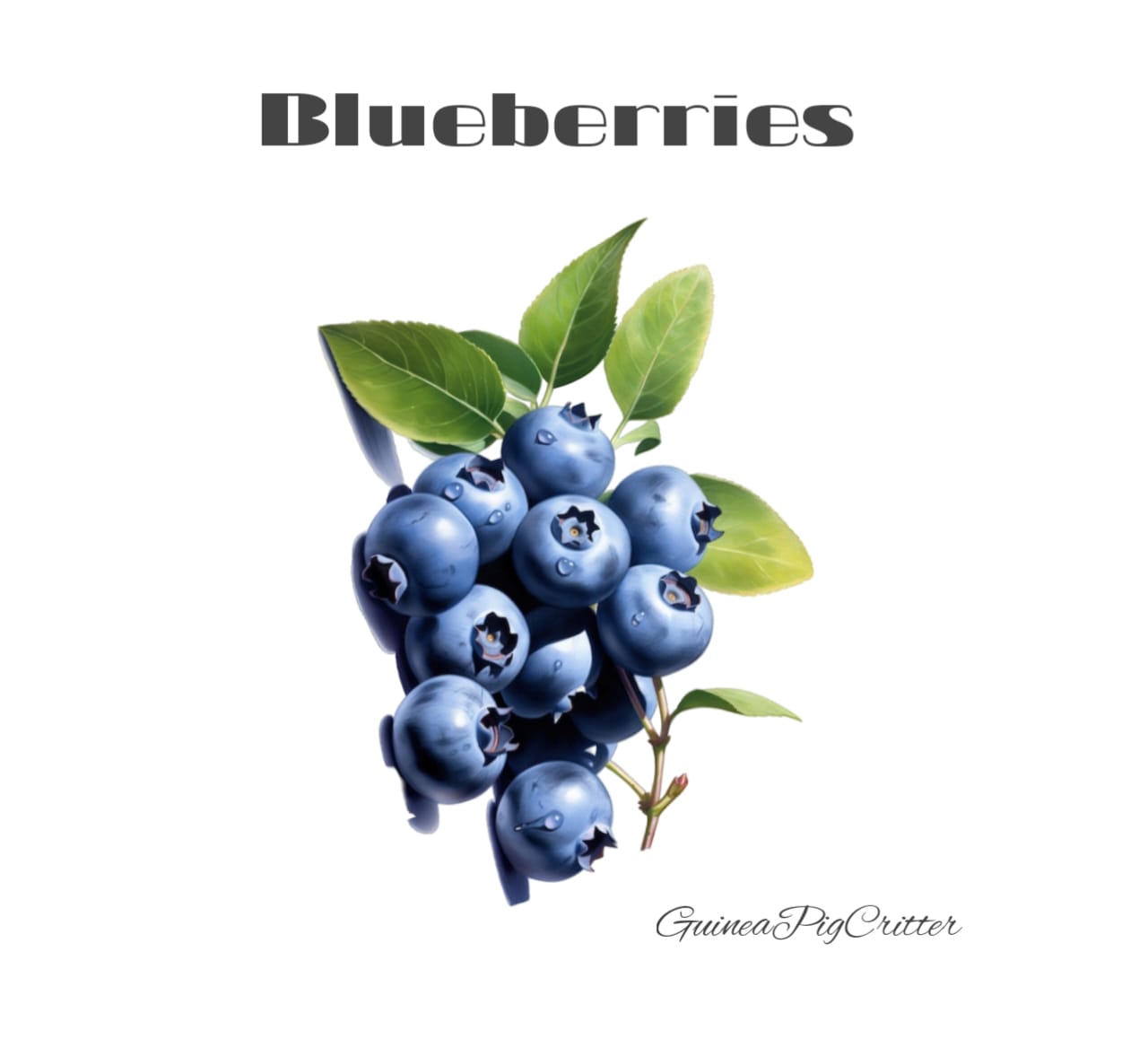 blueberries