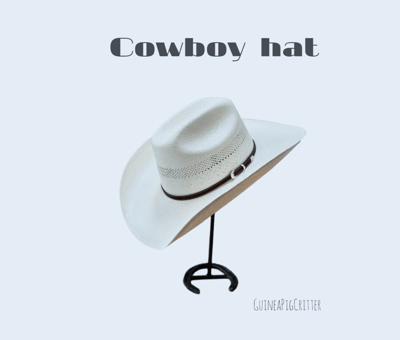 cowboy hat