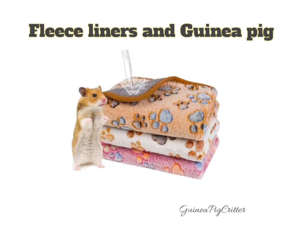 fleece liners and guinea pig