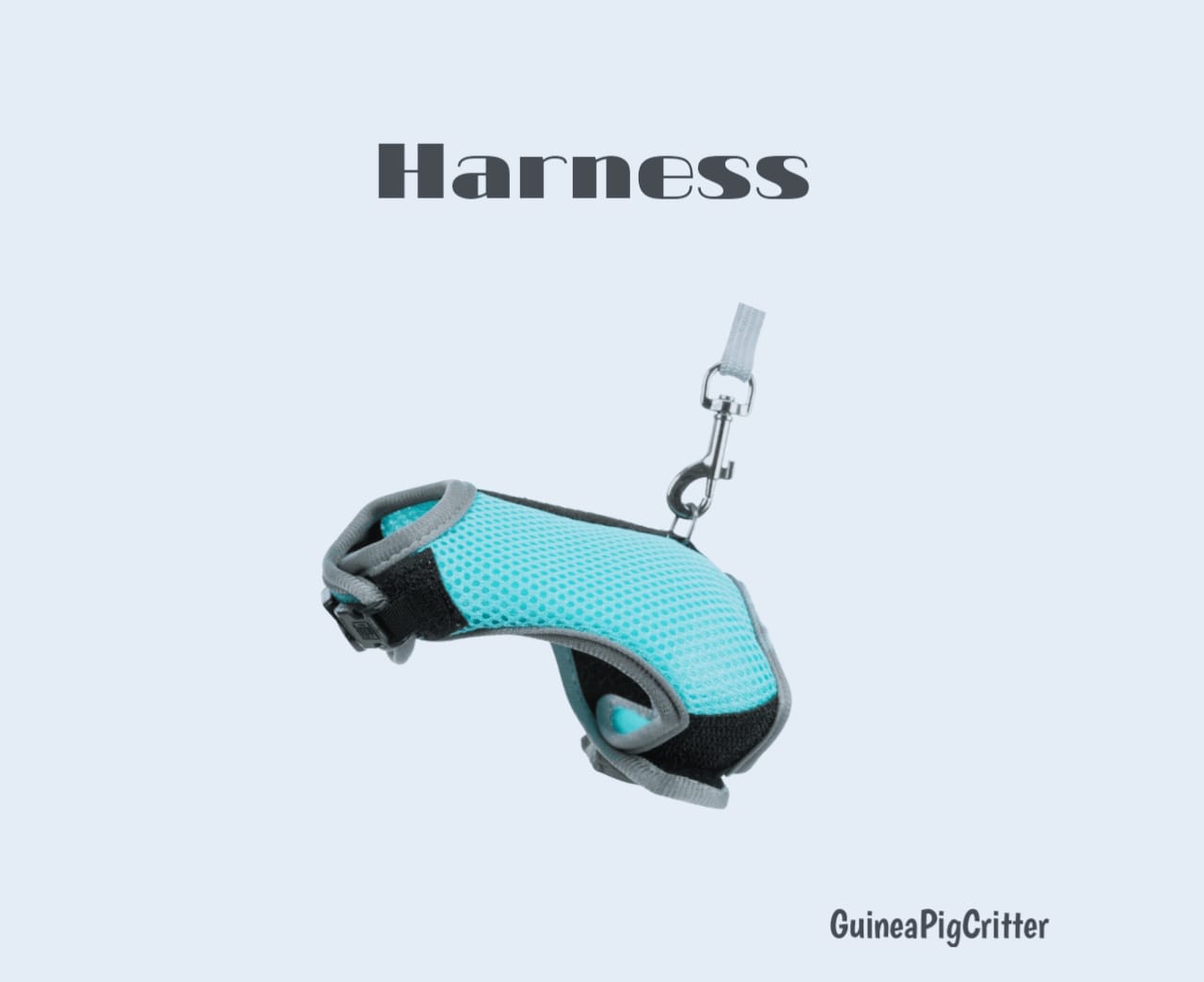 harness