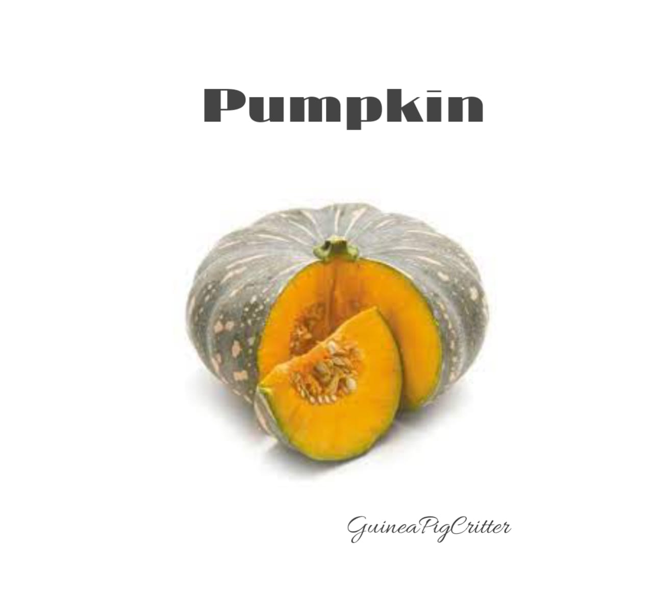 pumpkin