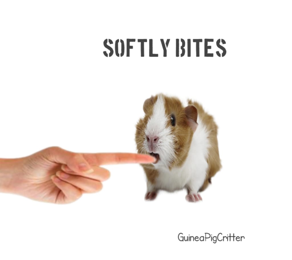 softly bites