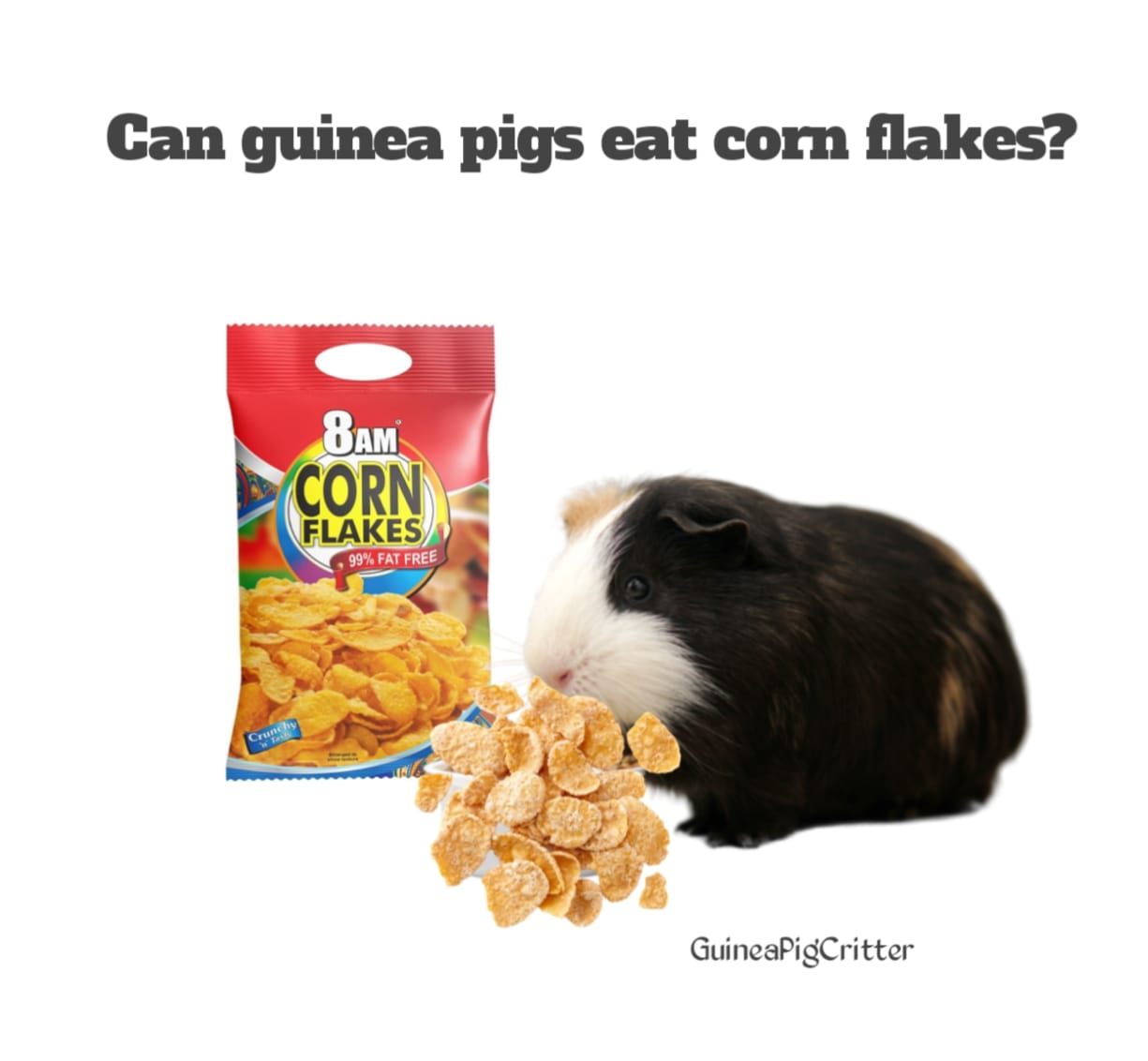 can guinea pigs eat corn flakes