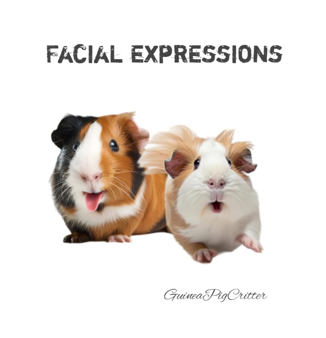 facial expressions