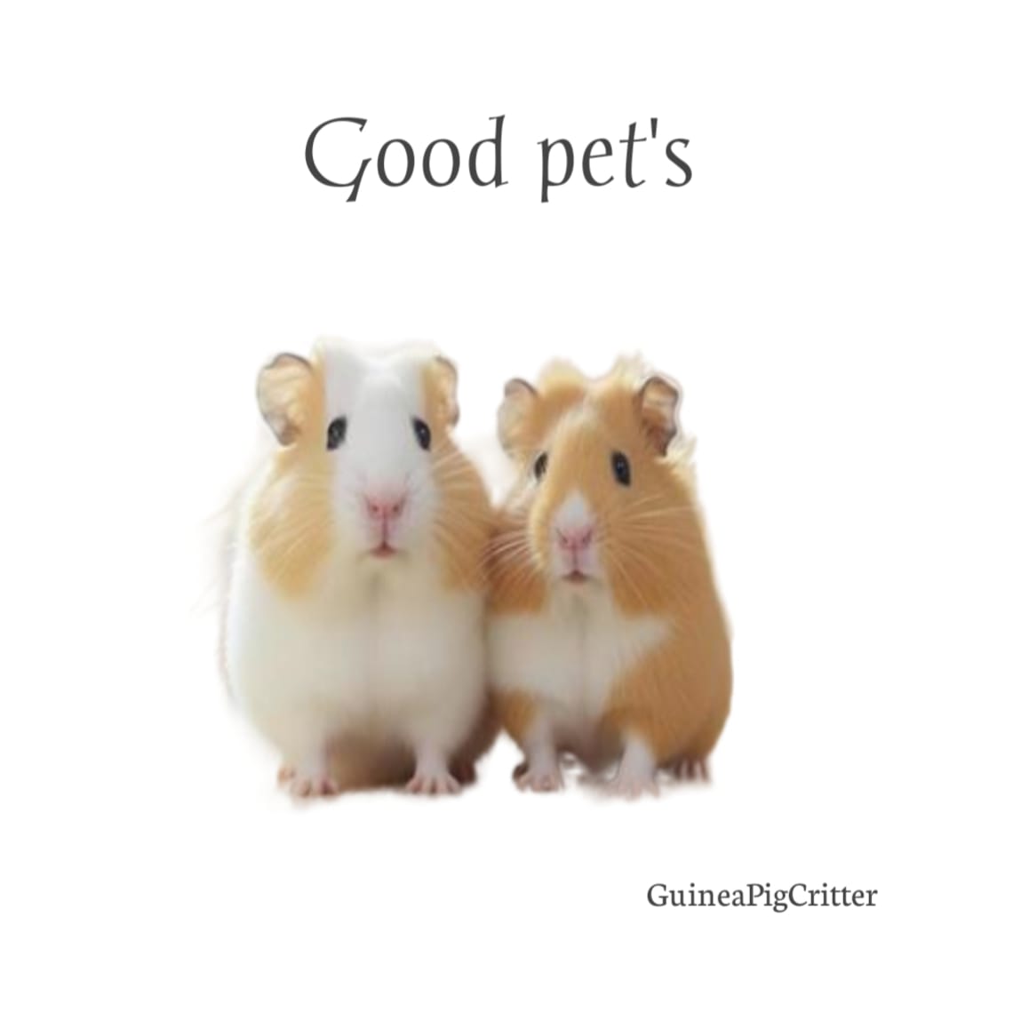 good pets