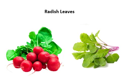 radish leaves
