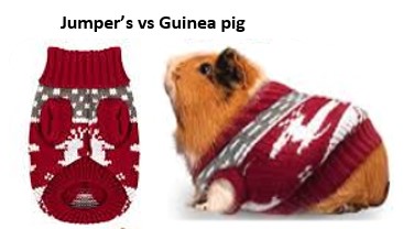 jumpers vs guinea pig