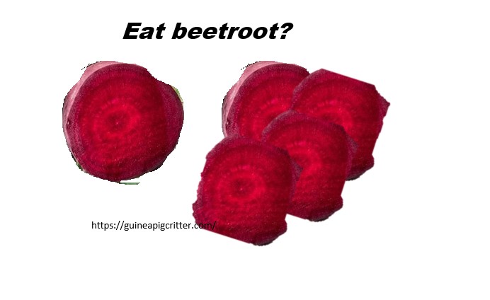 beet root