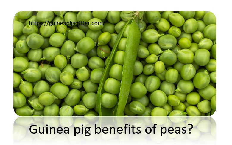 benefits of peas